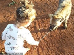 "Дикая" дружба: двухлетняя девочка приручила гиен