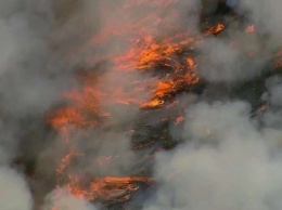 В Польше вспыхнули масштабные пожары в национальном парке