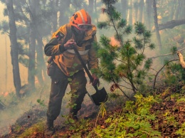 В Greenpeace заявили о рекордных по площади лесных пожарах в России