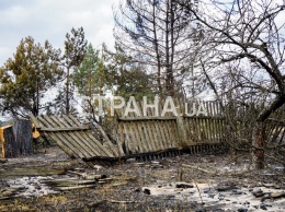 "Страна" узнала, как в Житомирской области тушат пожары и сколько денег выделят пострадавшим жителям сел. Фото