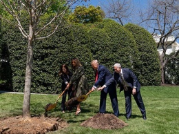 Мелания Трамп в туфлях за $700 посадила дерево возле Белого дома. Фото