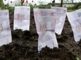 Аграрии Николаевщины уплатили в бюджет более 17 млн грн арендной платы за землю