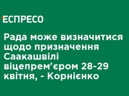 Рада может определиться относительно назначения Саакашвили вице-премьером 28-29 апреля, - Корниенко