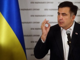 Саакашвили назвал направления, по которым планирует работать на должности вице-премьера по реформам