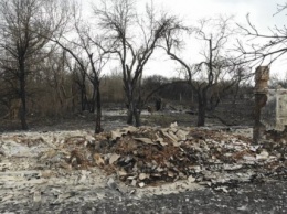 Из-за пожаров в зоне отчуждения пострадало 11,5 тыс. га заповедника