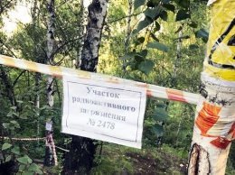 Когда карантин не помеха: над ядерным могильником в Москве строят новую магистраль