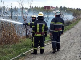 Возле водоема горел камыш и сухая трава: спасатели обратились к гражданам