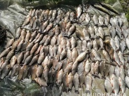 В Запорожской области задержали браконьера, который рыбачил в запрещенном месте - фото