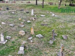 На старинном кладбище в Мелитополе люди жарили шашлыки - видео