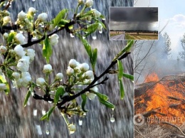 Циклон постепенно тушит пожары: появился обнадеживающий прогноз погоды по Украине