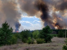 Пожар под Северодонецком уничтожил 27 гектаров леса