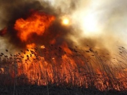 Пожар в Феодосии ликвидирован