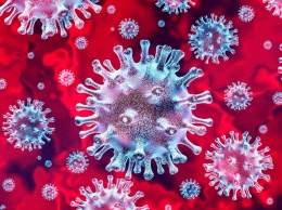 Правду не скрыть. 10 неопровержимых доказательств того, что коронавирус был разработан в украинских лабораториях под началом ЦРУ