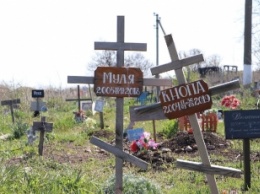 Мраморные плиты, кресты и оградки: как выглядит кладбище домашних животных в Запорожской области