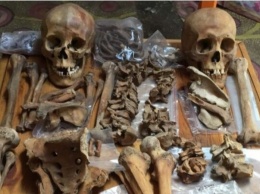 В Монголии нашли скелеты женщин-воительниц