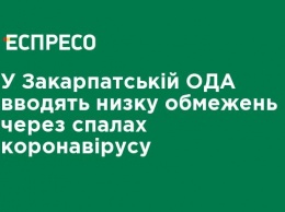 В Закарпатской ОГА вводят ряд ограничений из-за вспышки коронавируса