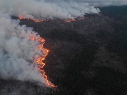 В Украине прогнозируют новую масштабную волну пожаров