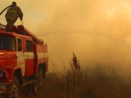 Украине следует готовиться к таким лесным пожарам, как в Австралии - эксперт