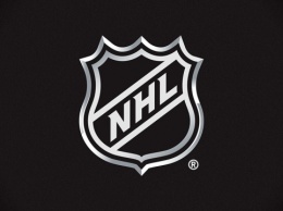 Национальная хоккейная лига может начать следующий сезон в декабре
