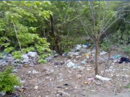 В Запорожье на Бабурке балка превратилась в мусорник (видео)