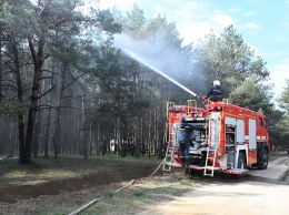 На Николаевщине учения спасателей выявили серьезные уязвимости перед лицом лесных пожаров (ФОТО)