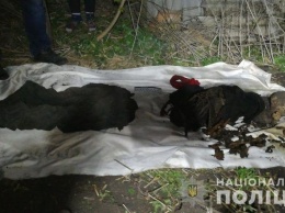 Под Харьковом откопали останки убитого мужчины, который скрывался от следствия, - ВИДЕО