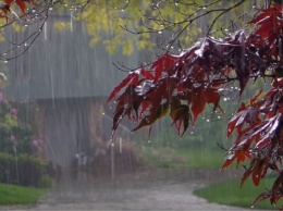 Наслаждайтесь теплом и свежим воздухом: синоптик Диденко дала прогноз, но не забудьте зонтик