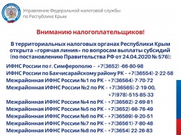 Налоговая с 1 мая начинает принимать заявления от организаций и ИП на субсидии