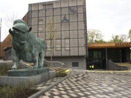 Возле Киевского зоопарка установили копию скульптуры зубра