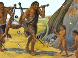 Если современный Homo Sapiens попадет к пещерным людям, что с ним будет?