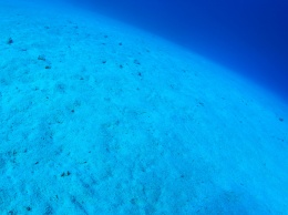 Микропластик на дне океана опаснее, чем на его поверхности