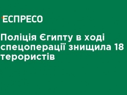 Полиция Египта в ходе спецоперации уничтожил 18 террористов