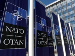 Военный комитет НАТО обсудит "коронакризис" на первой онлайн-встрече
