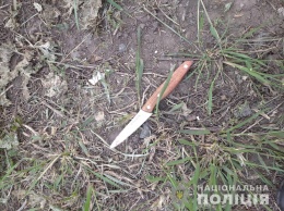 В Павлограде полицейские задержали местного жителя, который порезал мужчину
