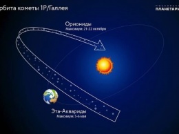 Ночь желаний. Сегодня украинцы увидеть самый зрелищный звездопад в году