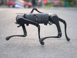 «Китайская» Boston Dynamics представила робопса A1 для совместных пробежек с людьми