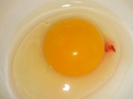 Можно ли употреблять в пищу яйцо с каплей крови внутри