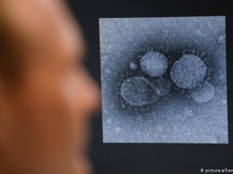 Защитит ли от коронавируса новая вакцина против туберкулеза?