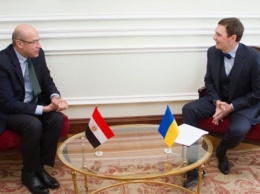 Замглавы МИД обсудил с послом Египта дело осужденного украинца Чикоша