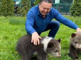 В экопарке Харькова вывели на первую прогулку медвежат