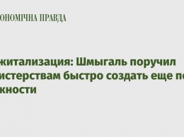 Диджитализация: Шмыгаль поручил министерствам быстро создать еще по должности