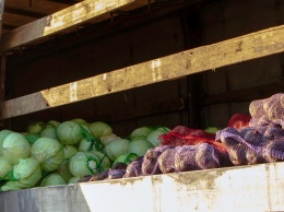 В Днепр из Магдалиновского района привезли почти 20 тонн овощей