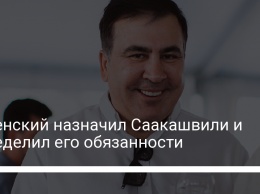 Зеленский назначил Саакашвили и определил его обязанности