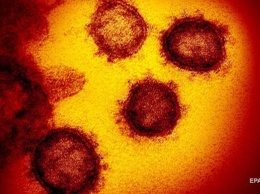 Китайские врачи нашли коронавирус в мужском семени