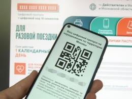 Цифровой пропуск для езды по Москве останется актуальным весь май