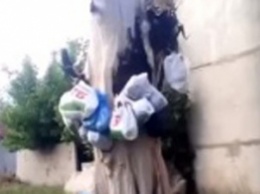 В Мелитополе жители частного сектора "создали" дерево из мусора (видео)