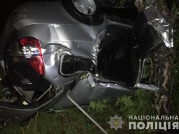 Ночью в Запорожье пьяный водитель ВАЗ врезался в дерево - погиб пассажир