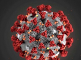 Не любит жару: при какой температуре коронавирус становится не опасен