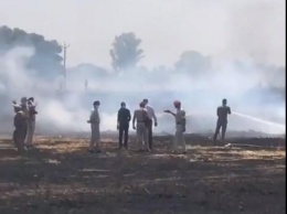 В Индии разбился самолет (видео)
