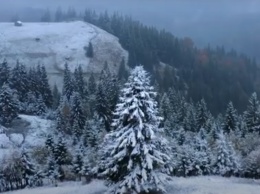 Природа сошла с ума: украинские Карпаты засыпало снегом - невероятные кадры
